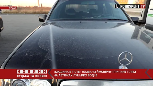 «Машина в тісті»: назвали ймовірну причину плям на автівках луцьких водіїв (відео)