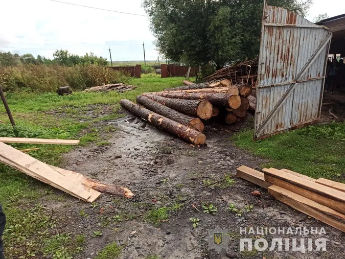 На Волині у приватного підприємця знайшли 14 колод сосни без документів (фото)