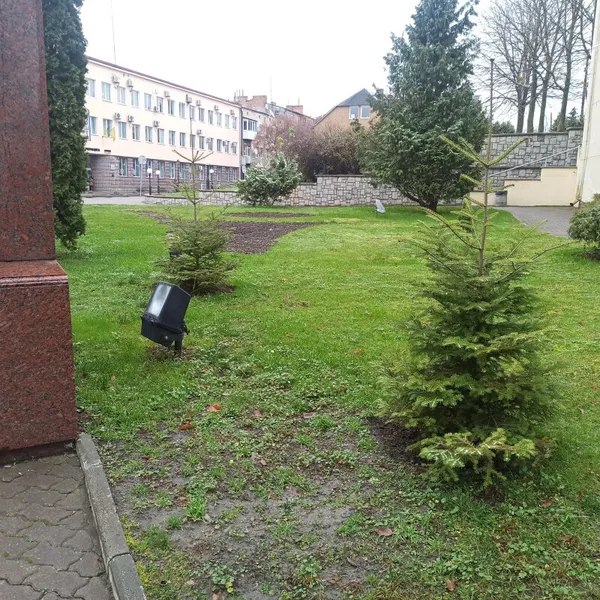 Парки, сквери, вулиці: у Луцькій громаді восени висадили 254 дерева та 285 кущів (фото)