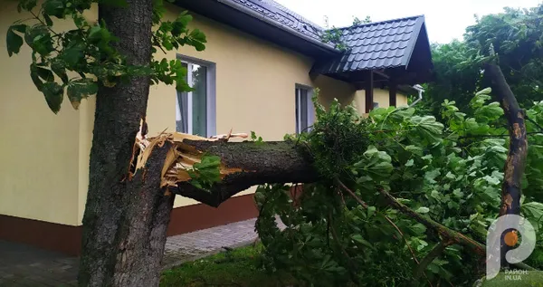 Негода на Рівненщині – МНС рекомендує не виходити з домівок (фото)