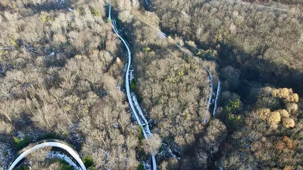 Єдина дерев’яна санна траса в Україні. Фото: Суспільне Тернопіль