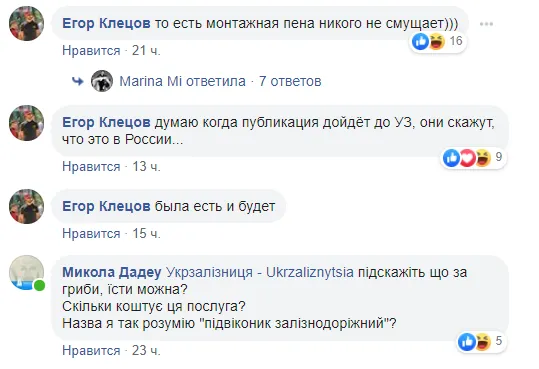 У вагоні «Укрзалізниці» виросли гриби (фото)