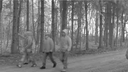 У лісі на Волині фотопастка спіймала крадіїв дубів (фото)