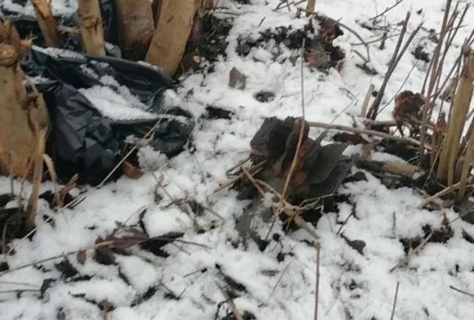 Іржавий хвостовик: у Луцьку на пеньку знайшли частину міни (фото, відео)