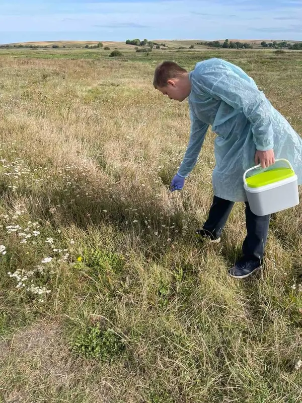 У волинських лісах і полях розклали понад 375 тисяч доз вакцини від сказу (фото)