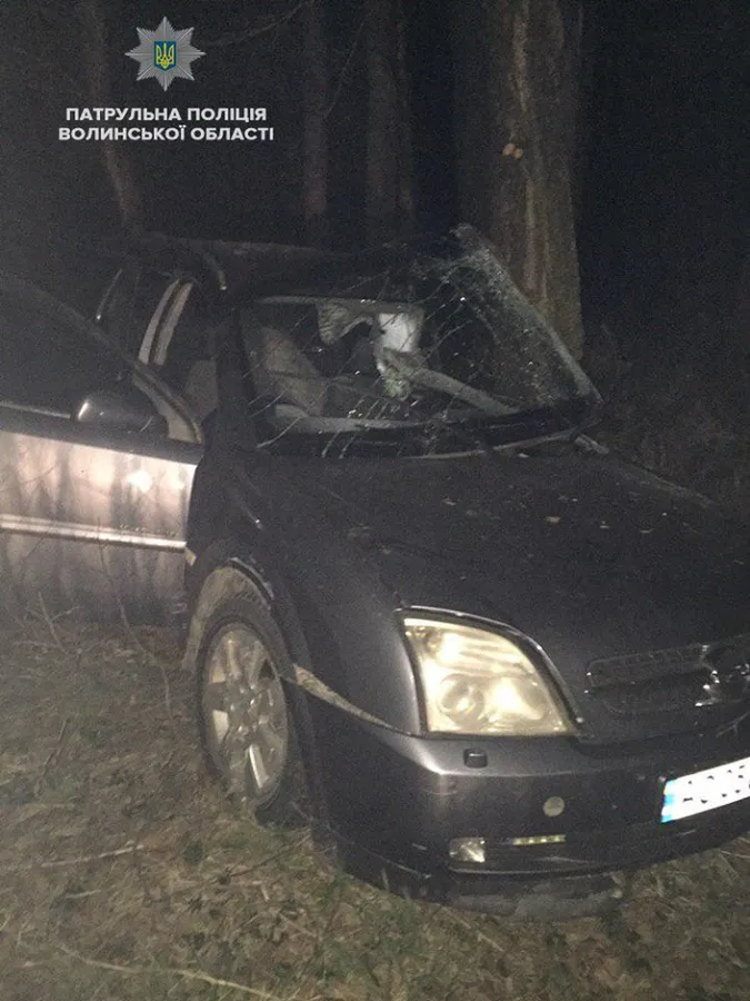 На волинській трасі автомобіль злетів у кювет: є постраждалі
