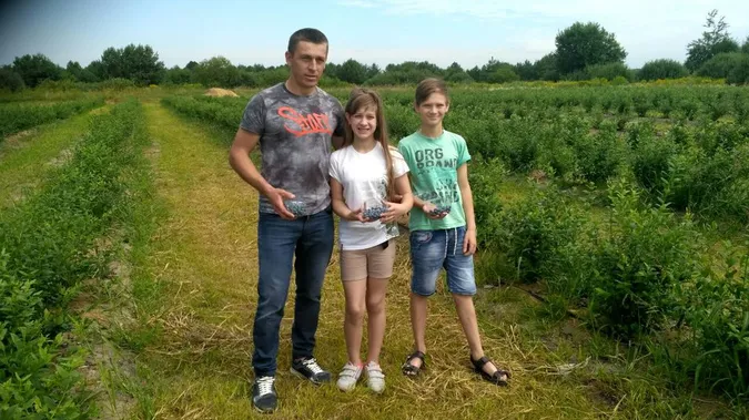 Як учасник АТО на Волині два роки вирощує лохину (відео)