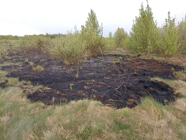 Замикання електромережі: у Ковелі вночі горів будинок (фото)