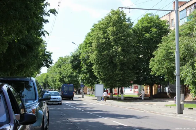 На проспекті Волі зріжуть дерева?