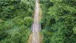 На Волині заховався унікальний куточок дикої природи, де мешкають бобри та видри (фото)