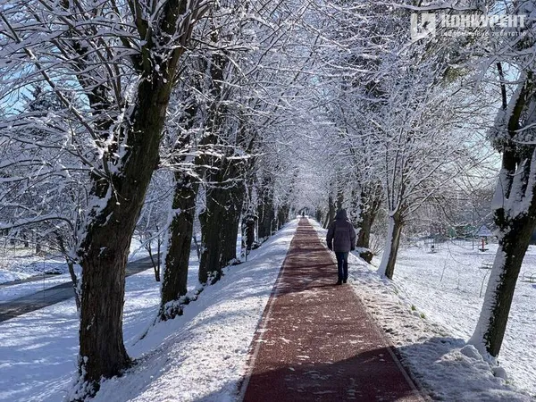 Вона чекає на вас морозного ранку у Луцькому парку (фото)