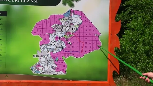 На Волині відкрили нові лісові дороги (фото)