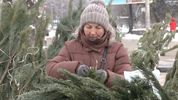 У Луцьку запрацювали ялинкові ринки: що продають та за які гроші (відео)