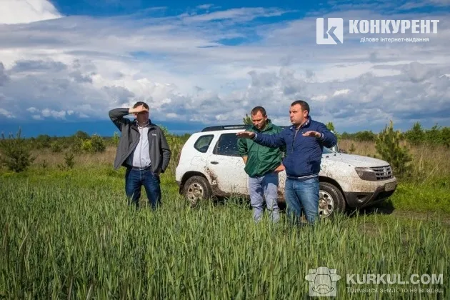 Волинські агрогосподарства діляться секретами вирощування жита 