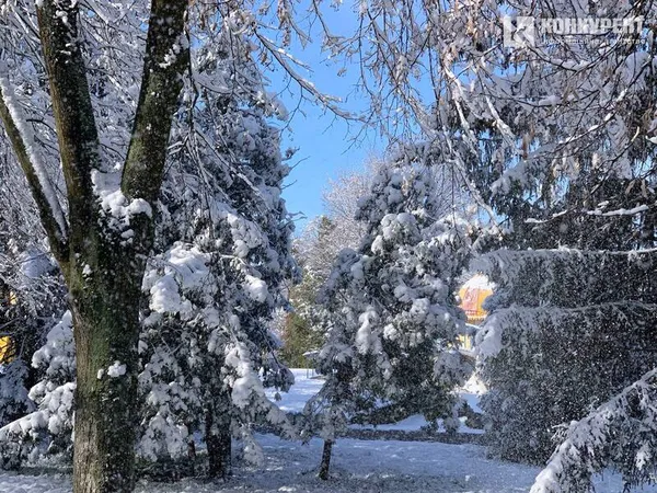 Вона чекає на вас морозного ранку у Луцькому парку (фото)