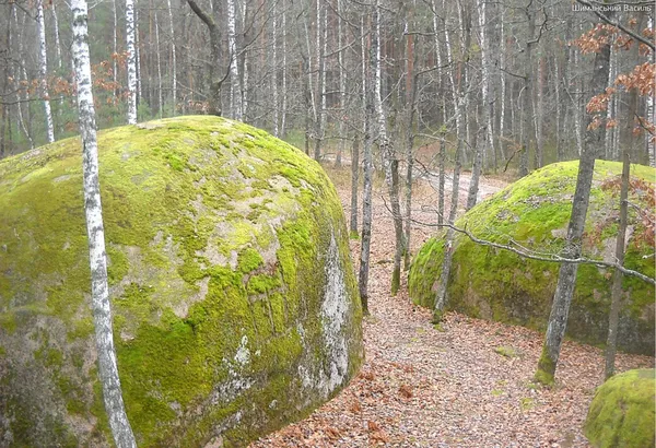 Мають страшні легенди: у які моторошні місця України поїхати на Гелловін (фото)