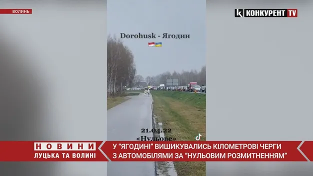«Нульове» розмитнення створило черги на митниці і хвилю обурення (відео)