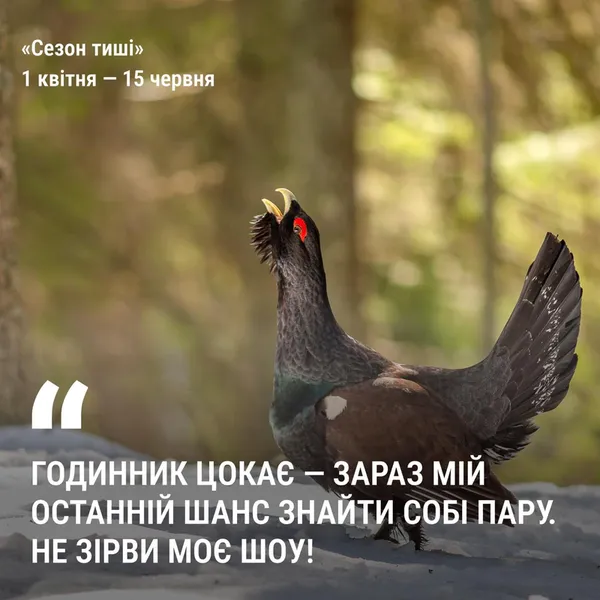 У лісах Волині заборонили кричати