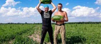 Не гірші за херсонські: на Волині фермер зібрав 120 тонн солодких кавунів з двох гектарів (фото)