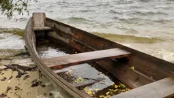 🌊Осінь на повну: в мережі показали краєвиди волинського озера (фото)
