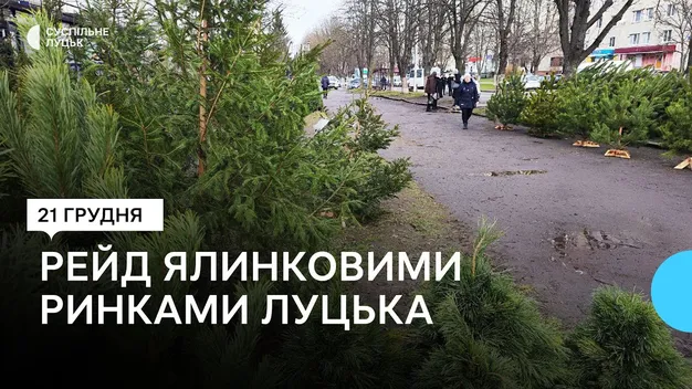 У Луцьку серед продавців «святкових» дерев шукали порушників