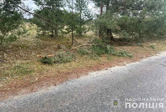 На Маневиччині мотоцикл в'їхав у дерево – водія і пасажира госпіталізували (фото)