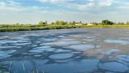 З’ясували, чому насправді смердить Луцьк (фото, відео)