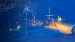 На Волині п’яний водій злетів у кювет і врізався в дерево: травмувалась жінка (фото)