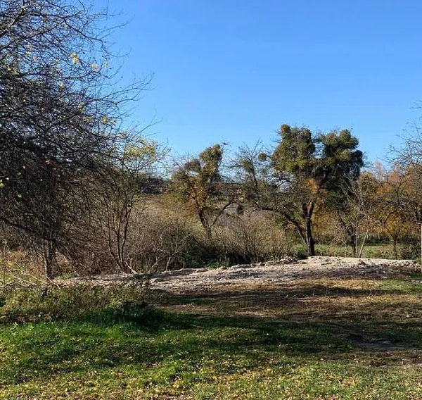 У Хорлупах на місці закинутого складу заклали новий сквер (фото)