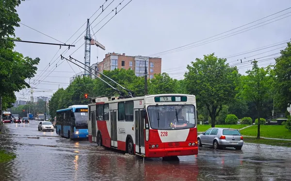 28 травня 2025 року