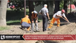 Біля Луцького зоопарку ремонтують дорогу (відео)