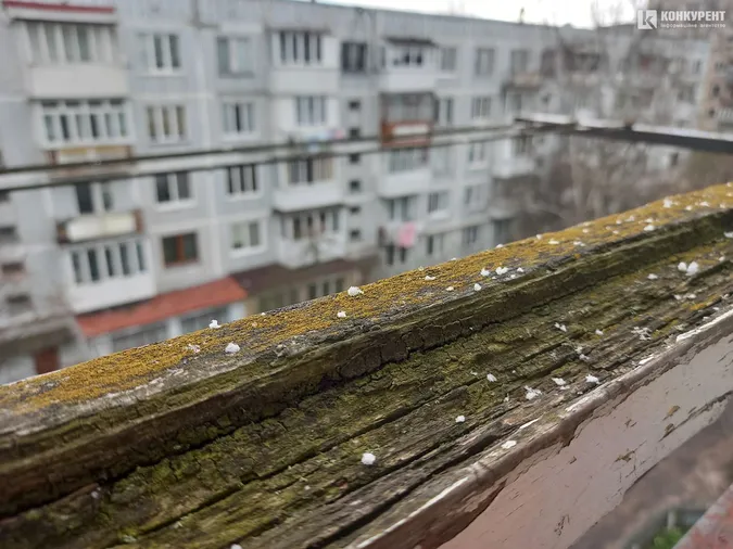 У Луцьку наприкінці квітня випав сніг (фото, відео)