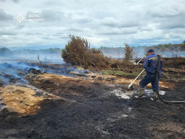 Навіть дощ не зупиняє вогонь: на Волині у трьох районах продовжують палати торфовища (фото)