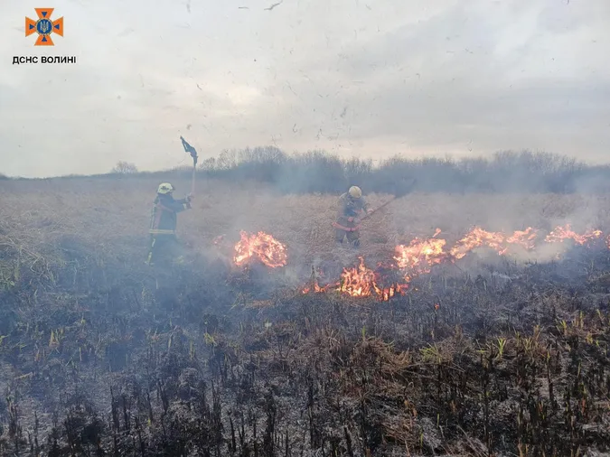 На Волині горів національний парк (фото)