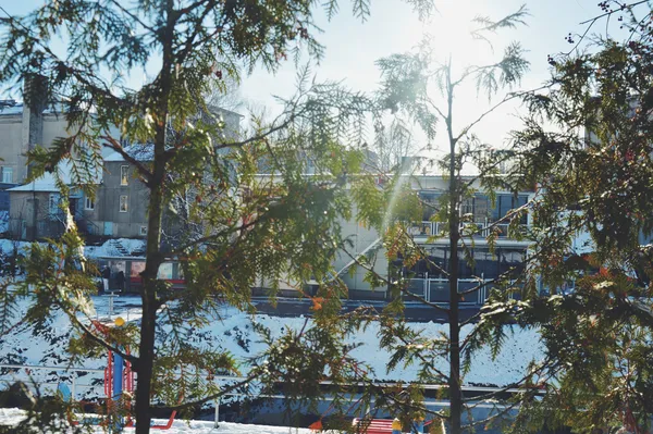 Зимовий «CityPark»: експозиція, місток та голуби (фото)