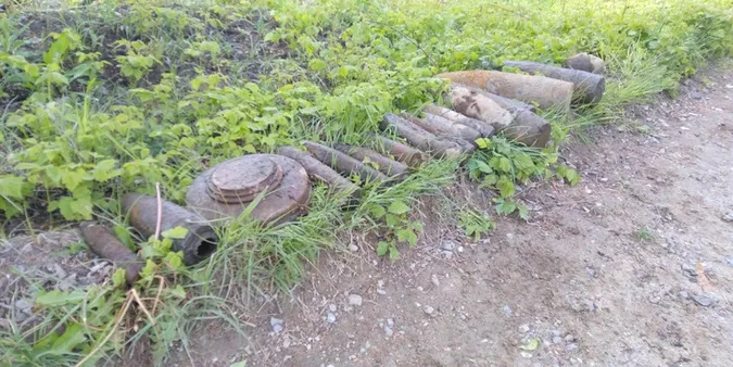 2 протитанкові міни та 30 авіабомб: у лісі волиняни знайшли боєприпаси (фото)