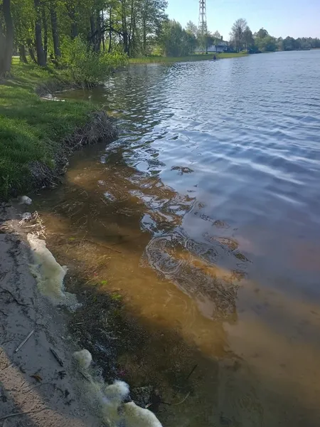 Аномалія чи норма: зацвілося одне з Шацьких озер (фото)
