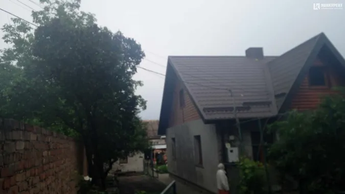 У Луцьку на Клима Савури під час грози впало дерево та зірвало лінію електропередач (фото)
