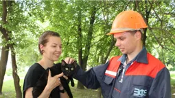 Кіт-альпініст:  у Луцьку зняли кота, який просидів на дереві майже тиждень (фото, відео)