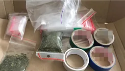 У закладчиці із Луцька виявили наркотиків на чверть мільйона (фото)