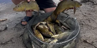 На «Волинських Мальдівах» виловили понад 104 кг риби – Big Fish чемпіонату спіймав волинянин (фото)