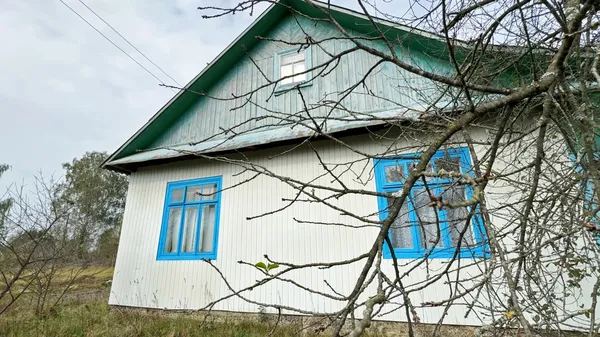 Будинок із дров та глини: волинянин сам звів екооселю, де живе уже три десятиліття (фото)