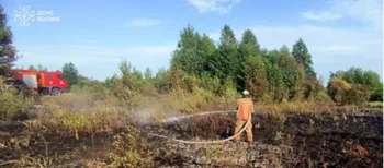 🔥 Випалили 3 гектари сухостою: на Волині гасили масштабні пожежі та спіймали палія (фото)