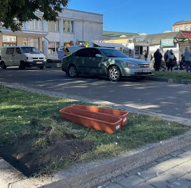 Володимирські голуби зможуть пити воду в самісінькому центрі міста (фото)