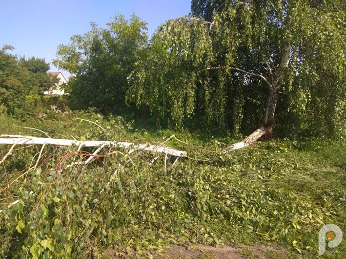 На Волині буревій наробив лиха (фото, відео)
