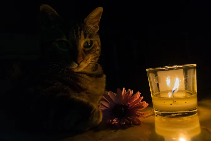 Де в Луцьку не буде світла в понеділок, 7 лютого