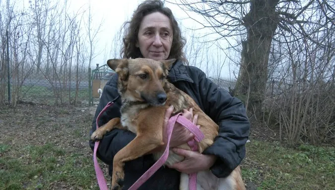 Заради собак переїхала з центру Луцька в село: як волинянка рятує чотирилапих із прифронтових зон
