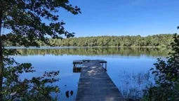 Серед лісів Волині ховається озеро з прозорою водою та рідкісними птахами (фото)