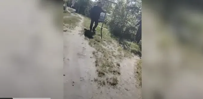 У Володимирі жінка-боржниця побила палицею комунальників (відео)