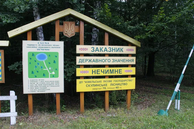 Письменники садили дерева у лісі, на який дивилася Леся Українка (фото)
